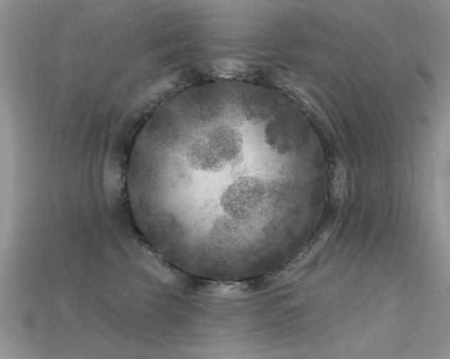 X0000115670569200911121155