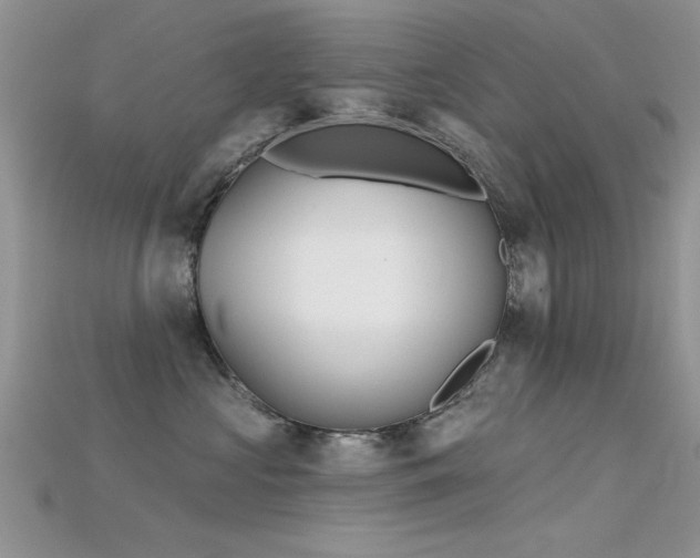 X0000115670573200911121155