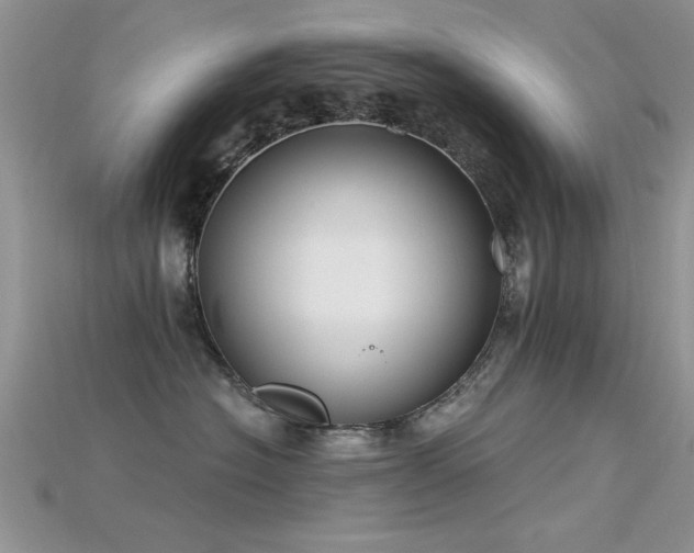 X0000115670574200911121155
