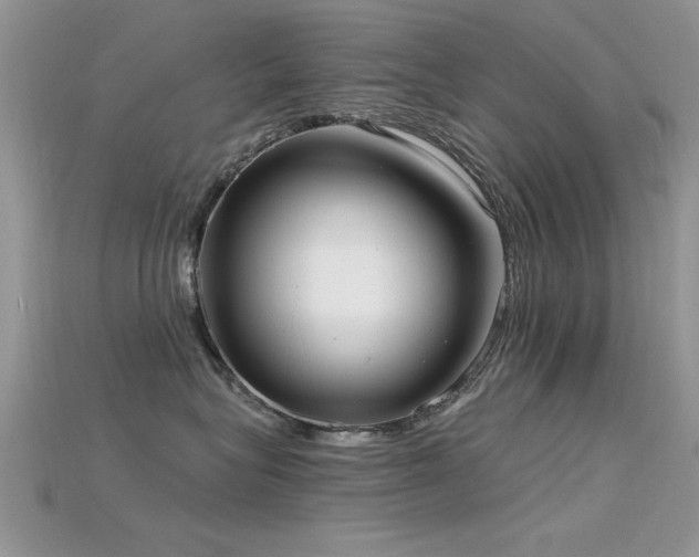 X0000115670575200911121155