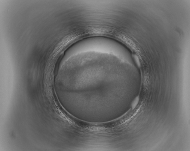 X0000115670577200911121155