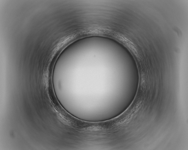X0000115670578200911121155