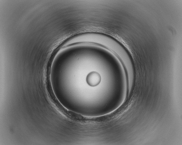 X0000115670581200911121155