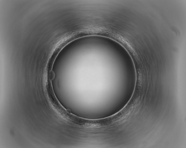 X0000115670582200911121155