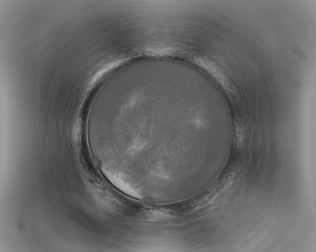 X0000115670583200911121155