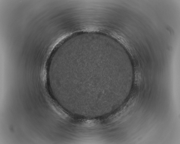 X0000115670584200911121155
