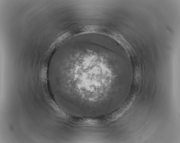 X0000115670585200911121155