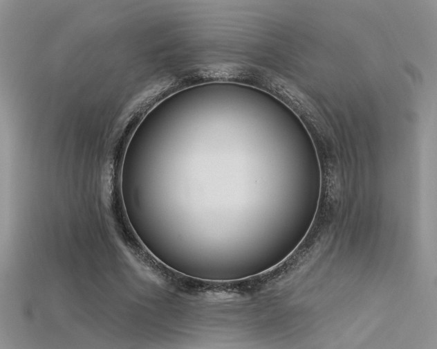 X0000115670586200911121155
