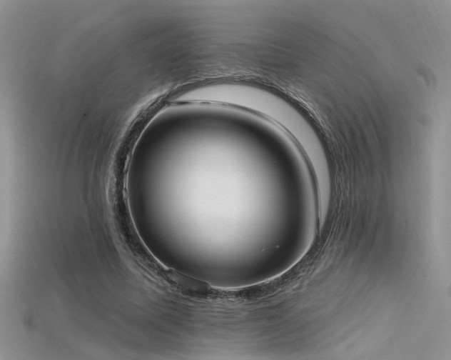 X0000115670587200911121155