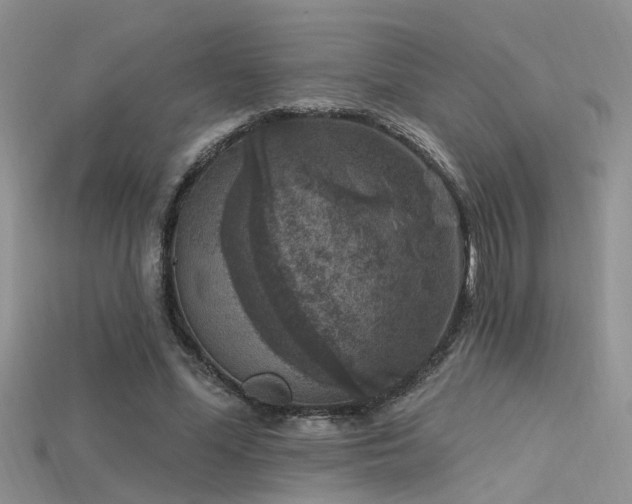 X0000115670588200911121155