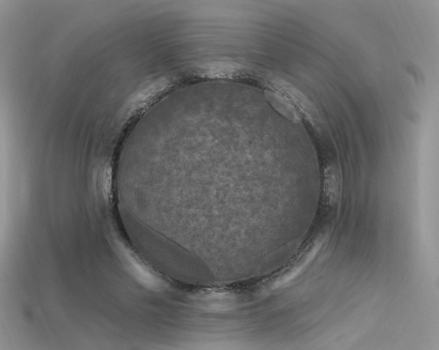 X0000115670589200911121155