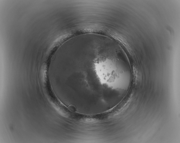 X0000115670590200911121155