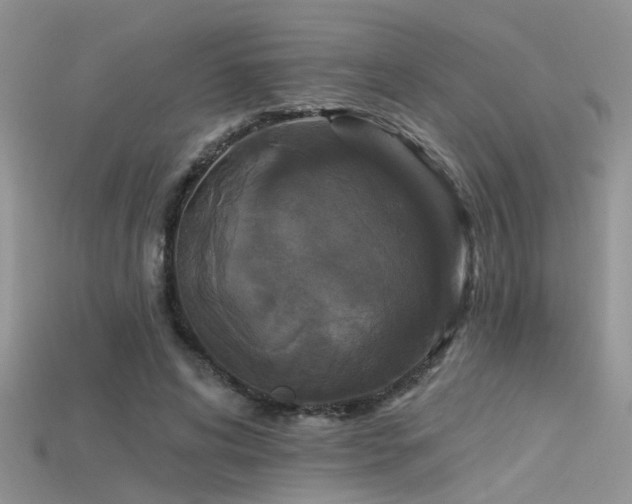 X0000115670592200911121155