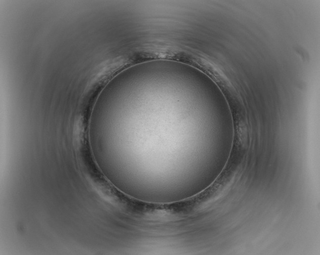 X0000115670594200911121155