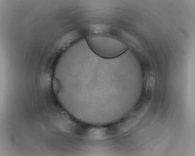 X0000115670595200911121155