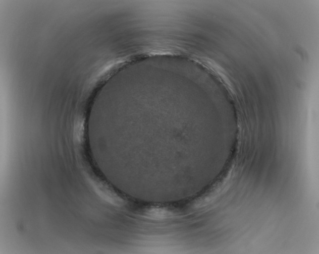 X0000115670596200911121155