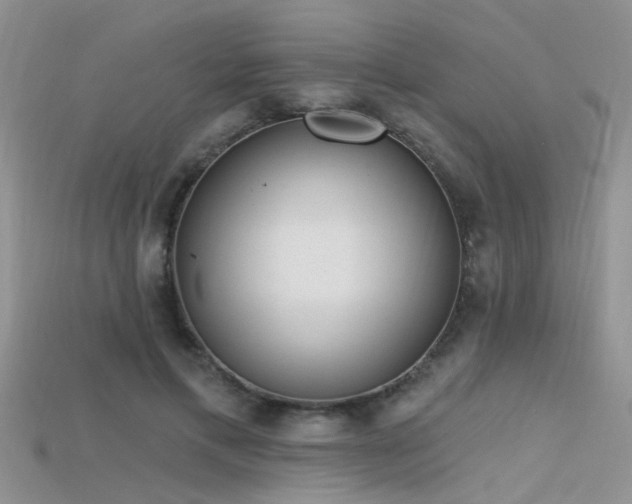 X0000115670597200911121155