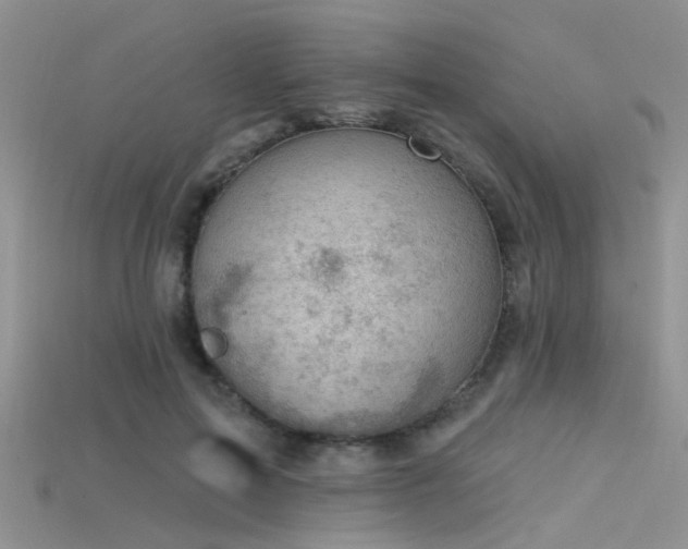 X0000115670599200911121155