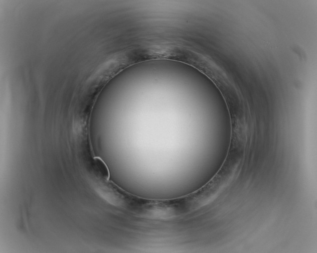 X0000115670601200911121154