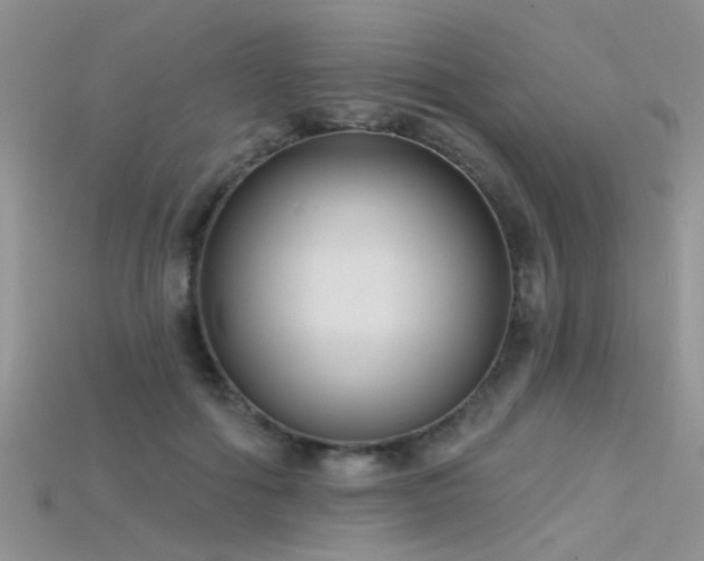 X0000115670602200911121154
