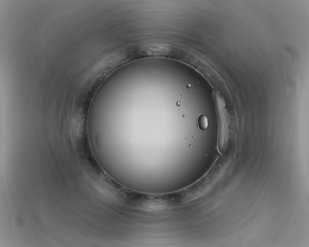 X0000115670604200911121154