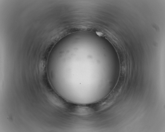 X0000115670605200911121154