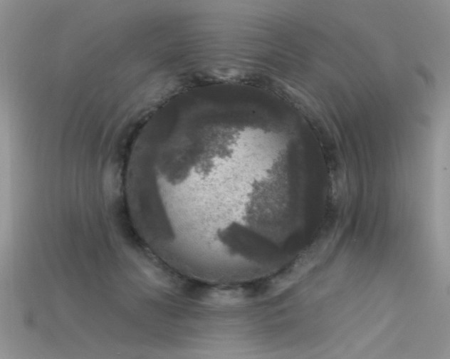 X0000115670606200911121154