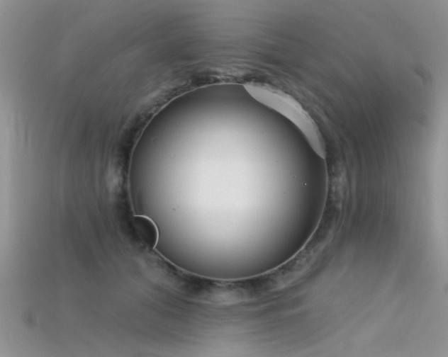 X0000115670608200911121154