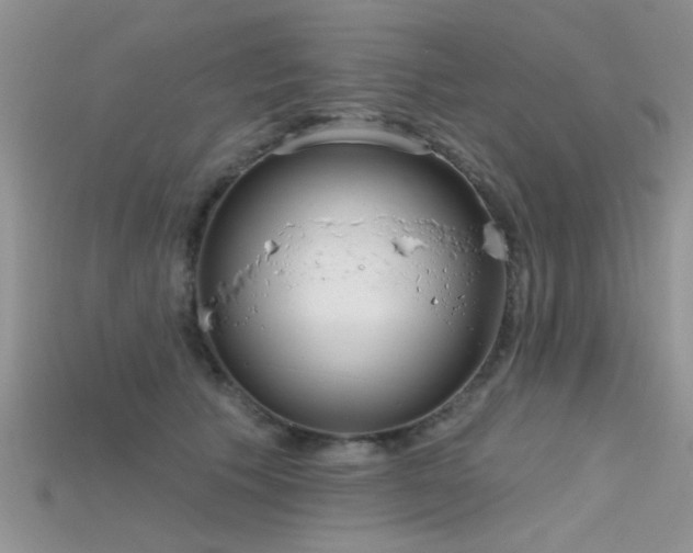 X0000115670609200911121154
