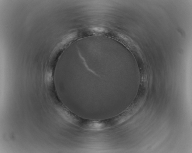 X0000115670610200911121154