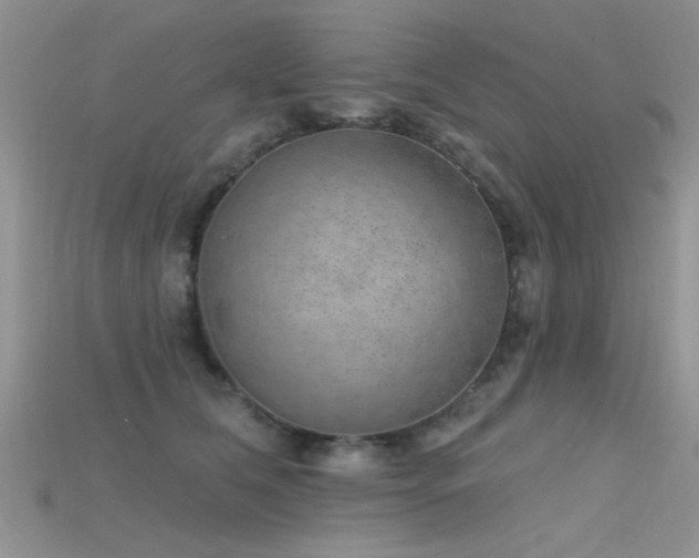 X0000115670612200911121154