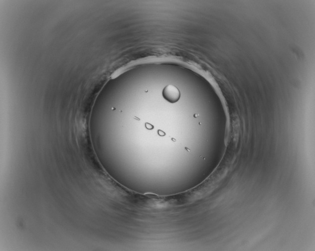X0000115670613200911121154