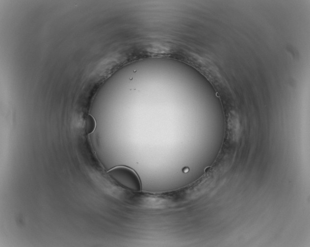X0000115670614200911121154