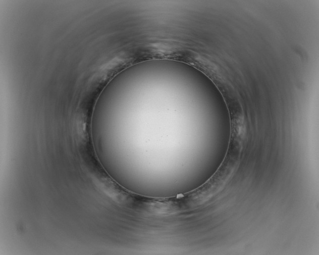 X0000115670615200911121154