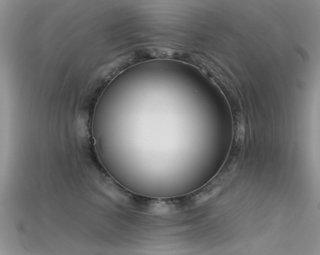 X0000115670616200911121154