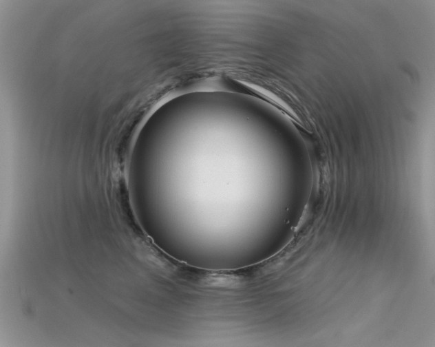 X0000115670617200911121154