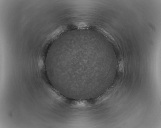 X0000115670618200911121154