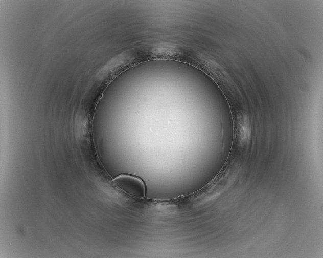 X0000115670619200911121154