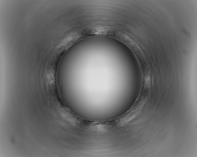X0000115670620200911121154