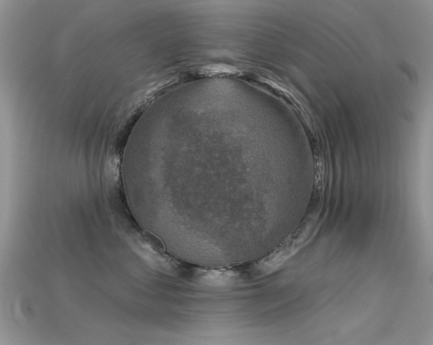 X0000115670621200911121154