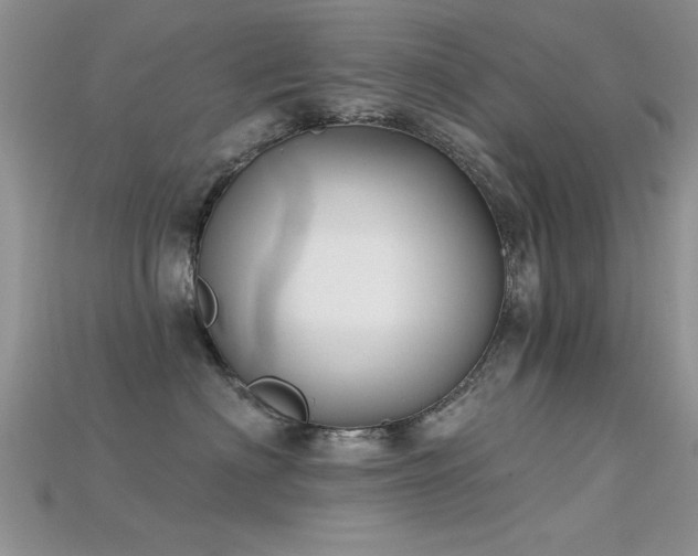 X0000115670622200911121154