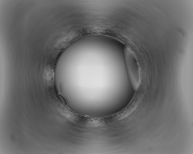 X0000115670624200911121154
