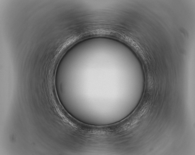 X0000115670625200911121153