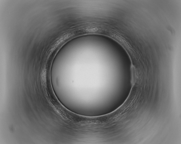 X0000115670626200911121153