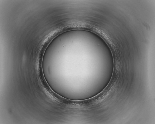 X0000115670629200911121153