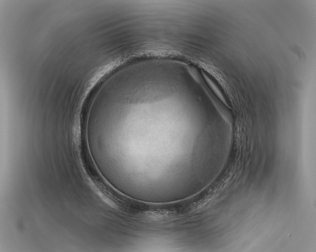 X0000115670630200911121153