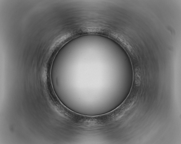 X0000115670631200911121153