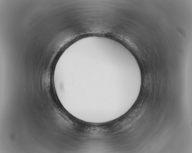 X0000115670632200911121153