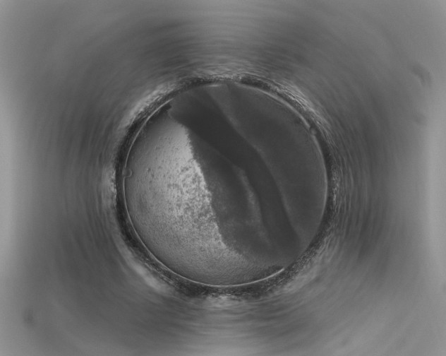 X0000115670634200911121154