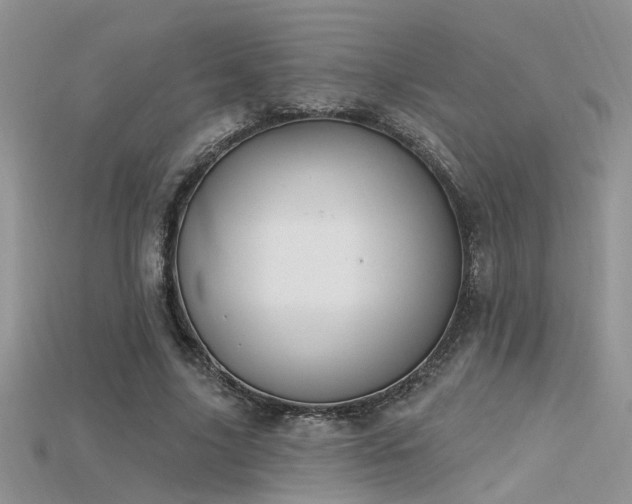 X0000115670635200911121154
